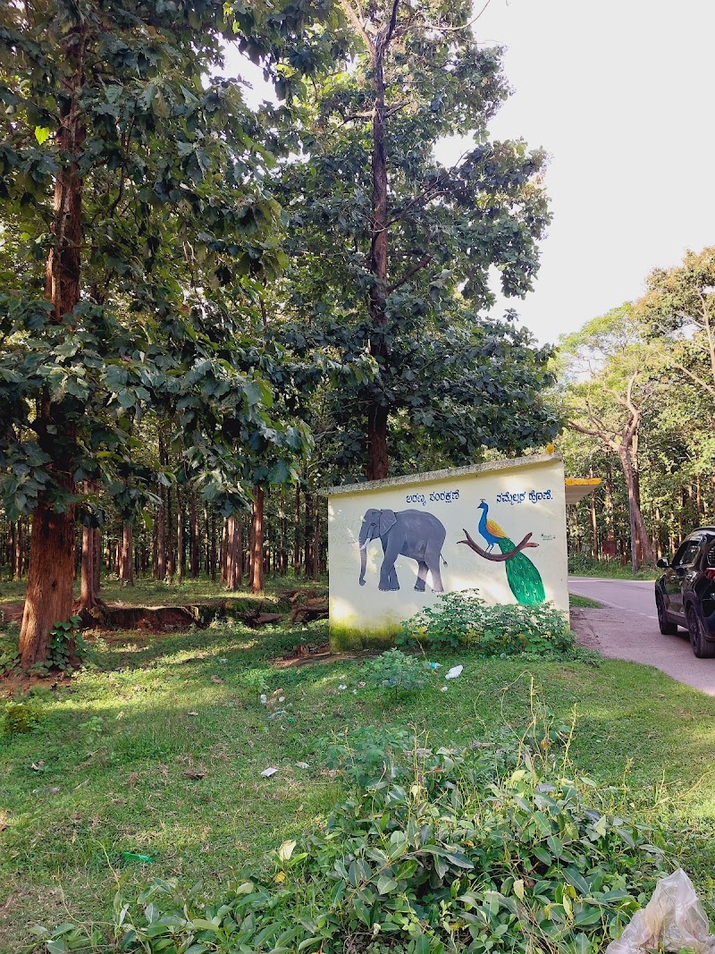 Kakankote Nagarhole Forest Entry Check Post - Kakankote Nagarhole Forest Entry Check Post, 2763+GP4, SH 33, Antharasanthe, Karnataka 571114, India