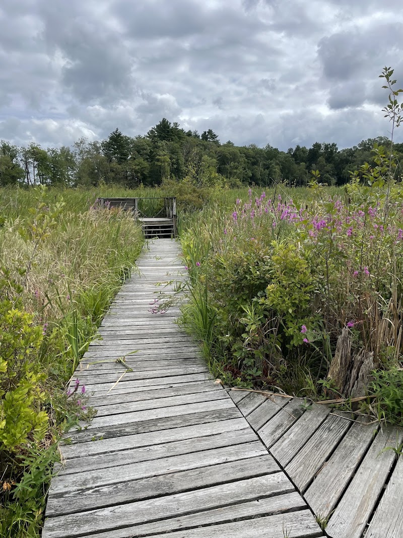 Mass Audubon's Ipswich River Wildlife Sanctuary - Mass Audubon's Ipswich River Wildlife Sanctuary 87 Perkins Row, Topsfield, MA 01983, USA