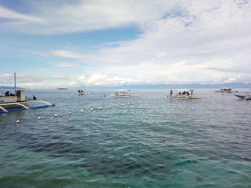 Moalboal Beach Resort - Moalboal Beach Resort Whitebeach, Moalboal, 6032 Cebu, Philippines