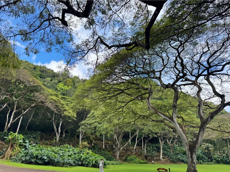 Waimea Valley - Waimea Valley, 59-864 Kamehameha Hwy, Haleiwa, HI 96712, USA
