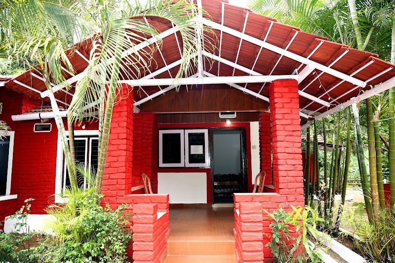Coorg coffee hills estate stay
