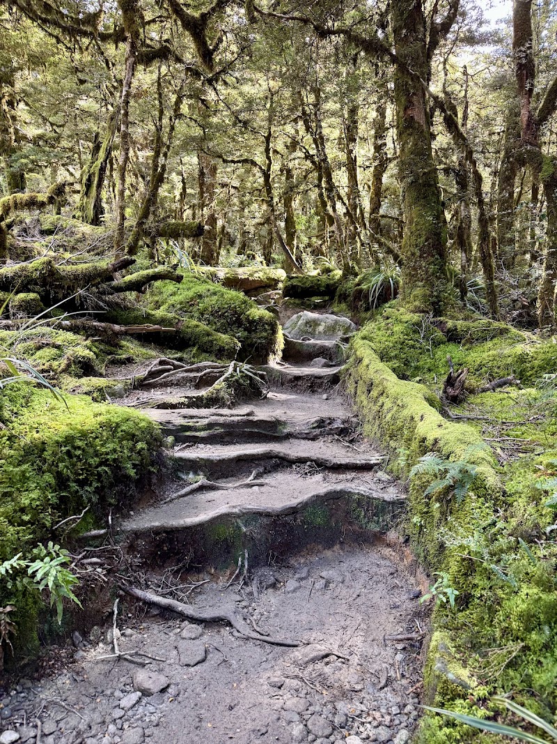 Lake Marian Track - Lake Marian Track, Southland 9679, New Zealand