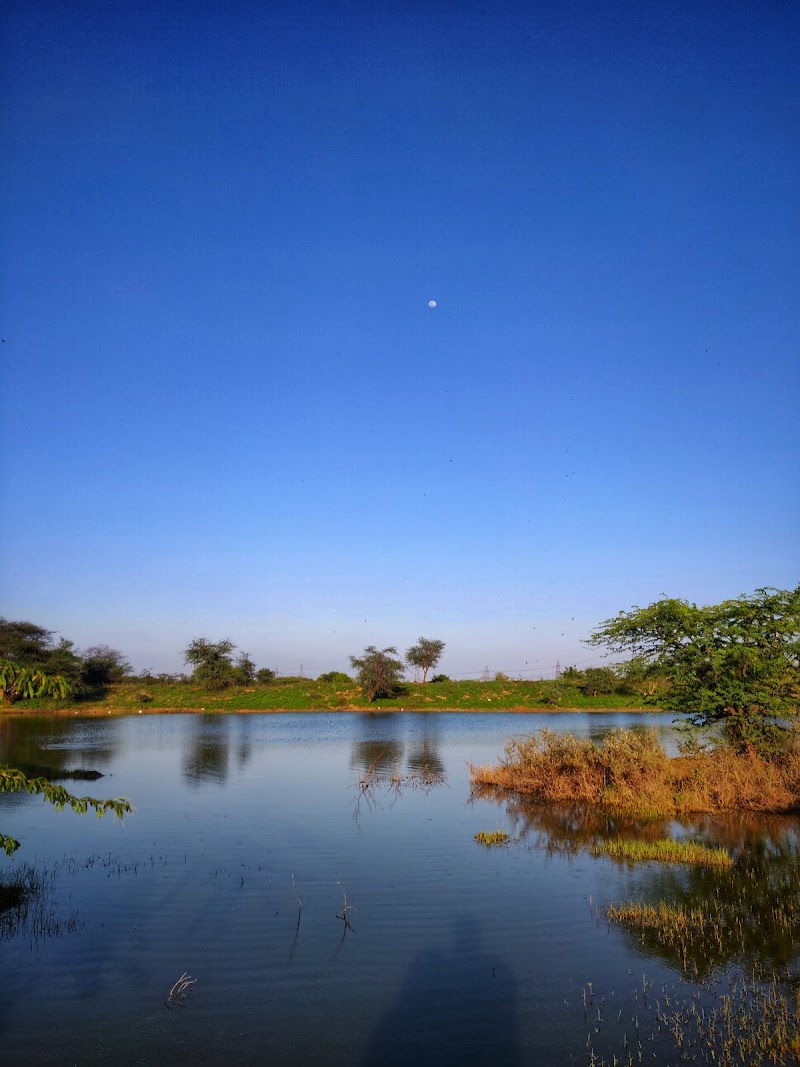 Aravali Hills in Gurgaon - Aravali Hills in Gurgaon Aravali Hills in Gurgaon Residential Projects- Office no. 18 plot a-5 Vipul Agora, Mehrauli-Gurgaon Rd, Gurugram, Haryana 122101, India