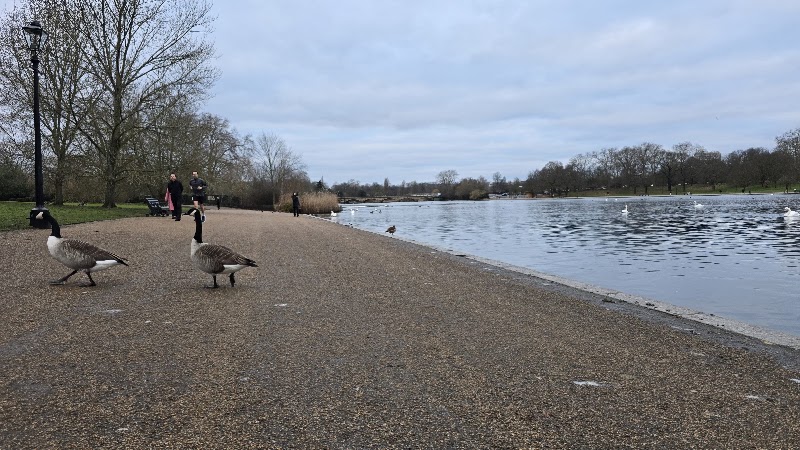 Serpentine Lodge - Serpentine Lodge Hyde Park, Serpentine Rd, London W2 2UH, UK