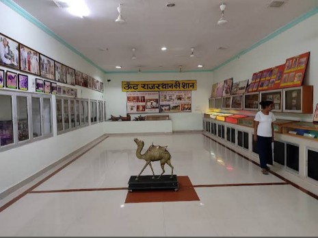 ICAR-National Research Centre on Camel - ICAR-National Research Centre on Camel, Shiv bari Jorbeer, Jodhpur Bypass, Bikaner, Joharbeeri, Rajasthan 334001, India
