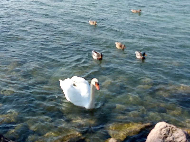Lido Campanello - Lido Campanello Lungolago Giuseppe Garibaldi, 37019 Peschiera del Garda VR, Italy