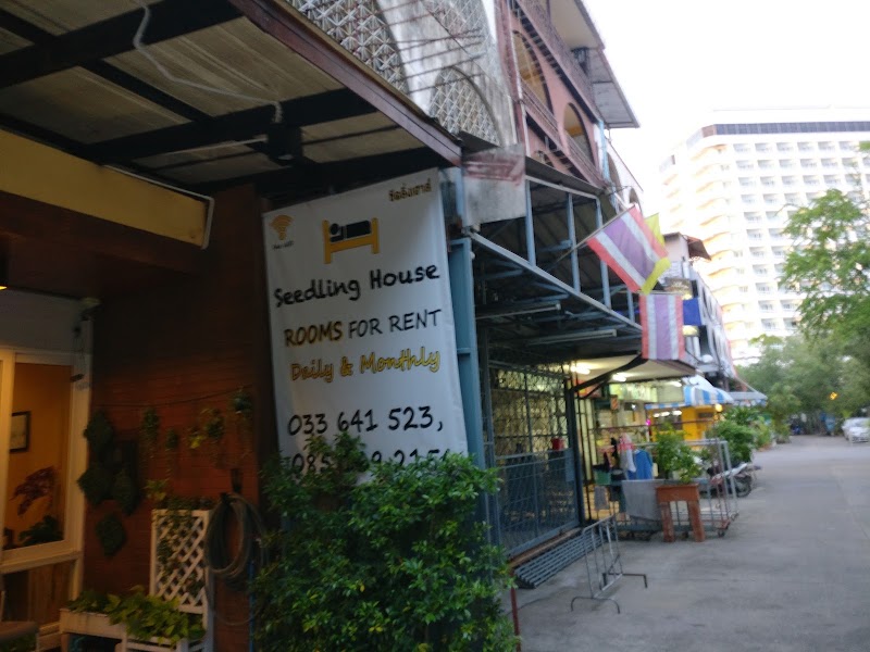 Seedling House - Seedling House 215, 23-24 Pattaya, Muang Pattaya, Amphoe Bang Lamung, Chang Wat Chon Buri 20150, Thailand