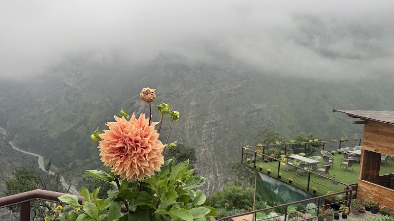 Blue Poppy Premier - Blue Poppy Premier Joshimath, Uttarakhand 246443, India