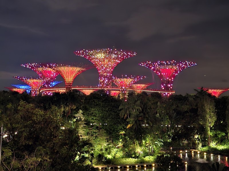 Supertree Grove - Supertree Grove 18 Marina Gardens Dr, Singapore 018953