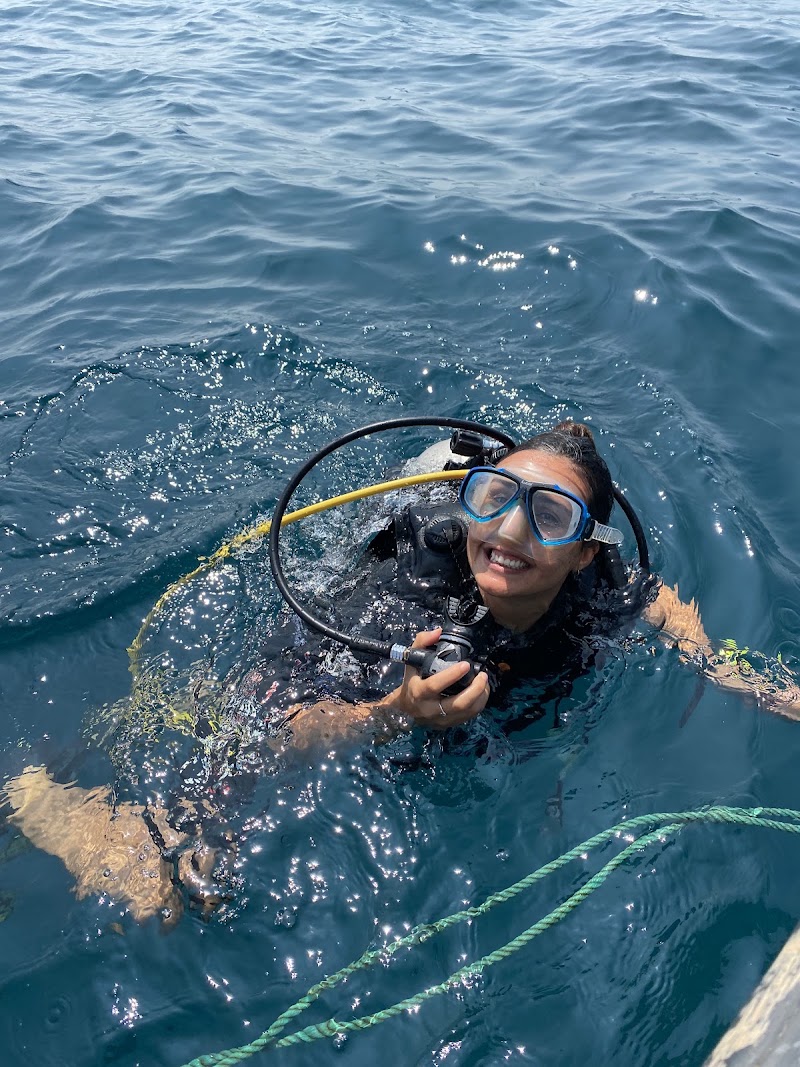 Weligama Bay Dive Center , PADI 5 Star Dive Resort - Weligama Bay Dive Center , PADI 5 Star Dive Resort, No.126, Kapparatota, Weligama 81700, Sri Lanka