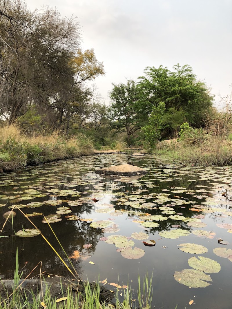 Wild Rivers Private Nature Reserve. - Wild Rivers Private Nature Reserve., R40 Phalaborwa Road, Hoedspruit, 1380, South Africa