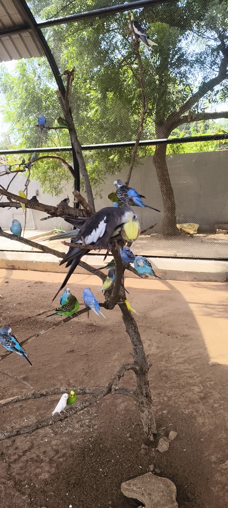 Rajali Birds Park