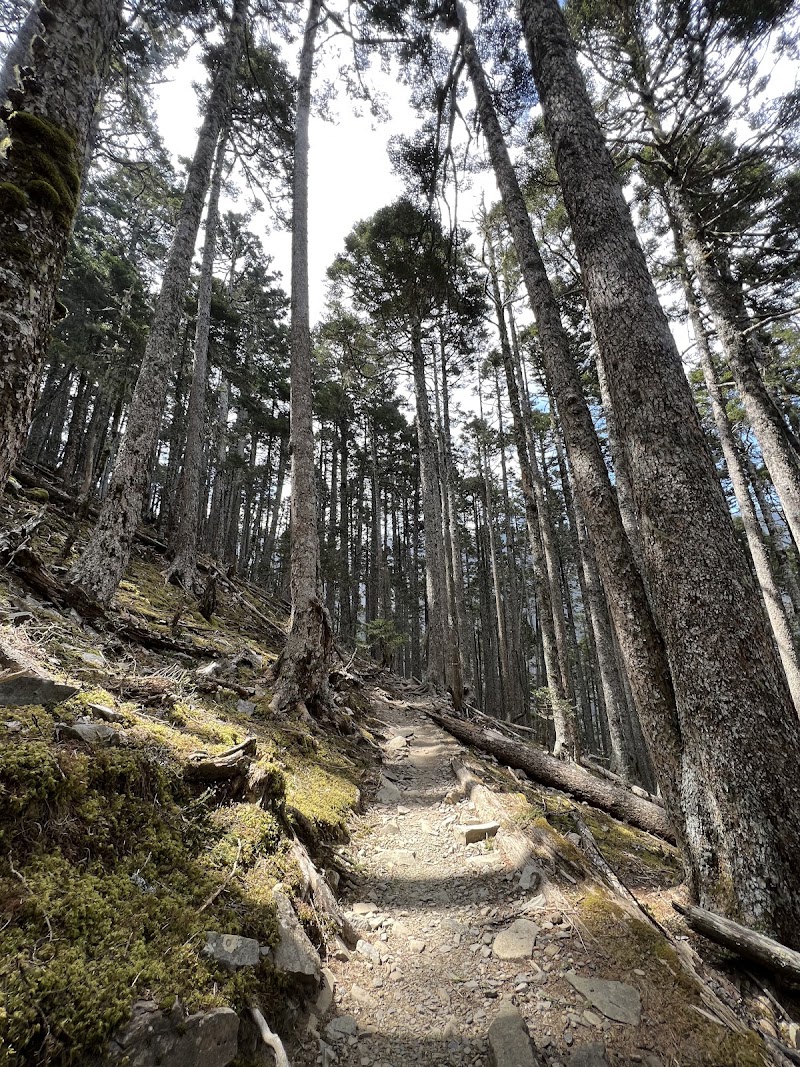 Xueshan Main Peak - Xueshan Main Peak, 96MJ+9P, Heping District, Taichung City, Taiwan 424