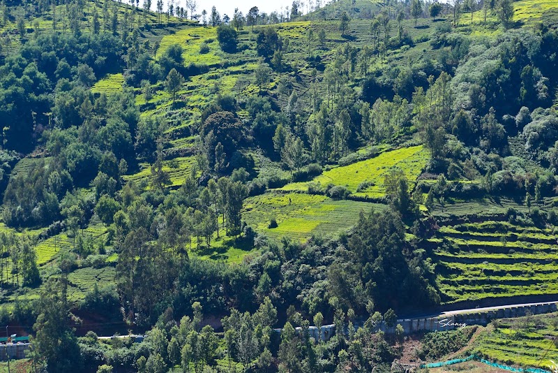 Lovedale - Lovedale Lovedale, Ooty, Tamil Nadu 643003, India