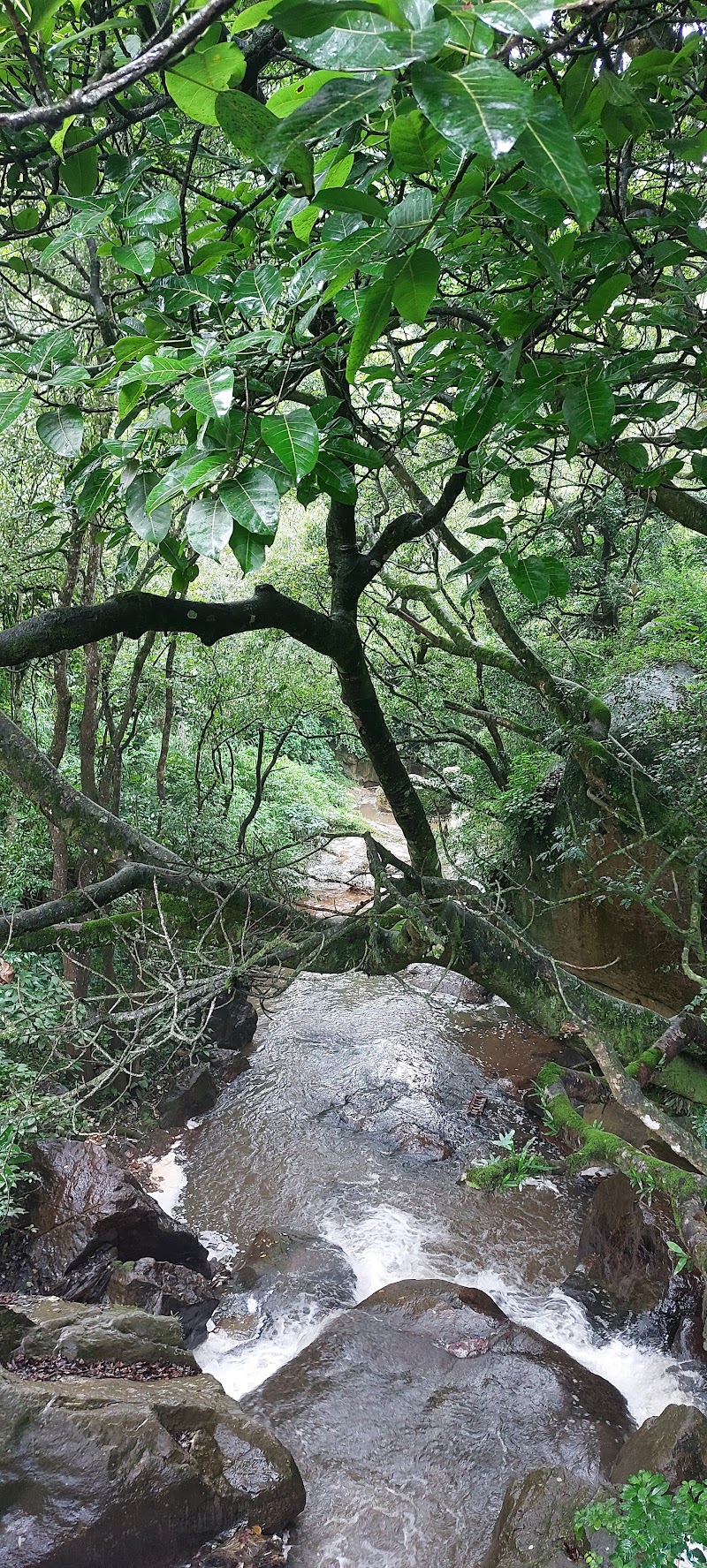 Laws Falls - Laws Falls 8QJX+QX6, Coonoor, Tamil Nadu 643102, India