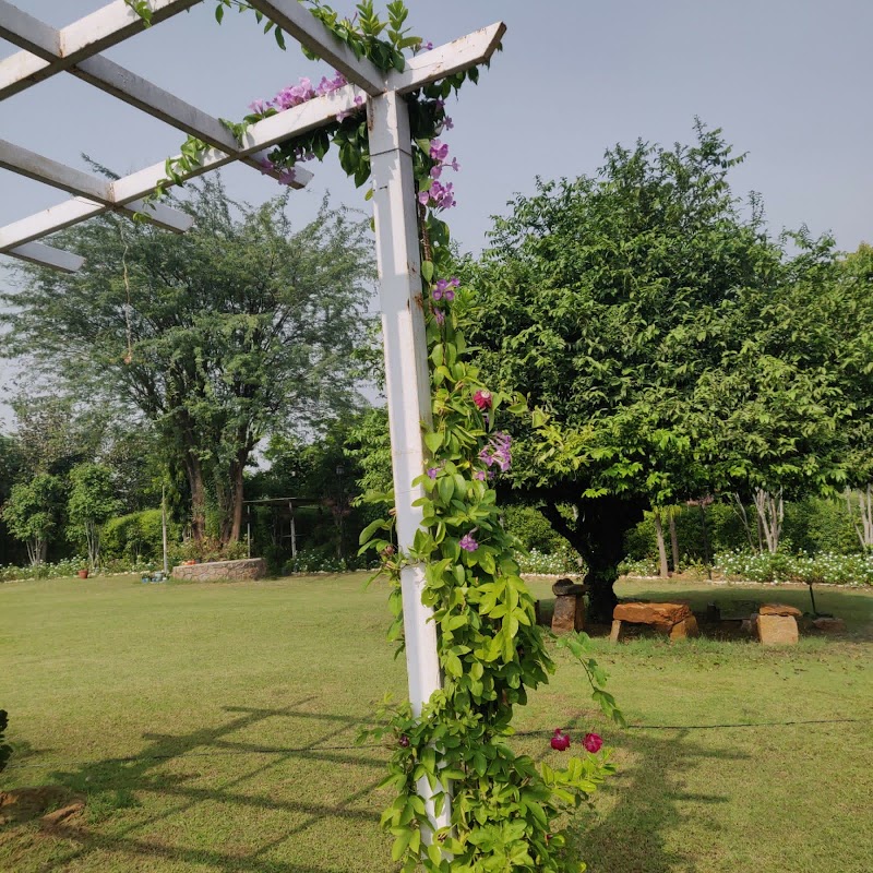 Aravali Crescent - Aravali Crescent 72v9+HR, Jalalpur Sohna, Haryana 122102, India