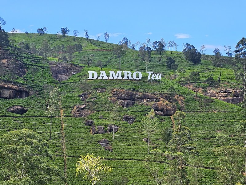 Labookellie Tea Lounge - Labookellie Tea Lounge 2PF9+PHR, A5, Labugolla, Sri Lanka