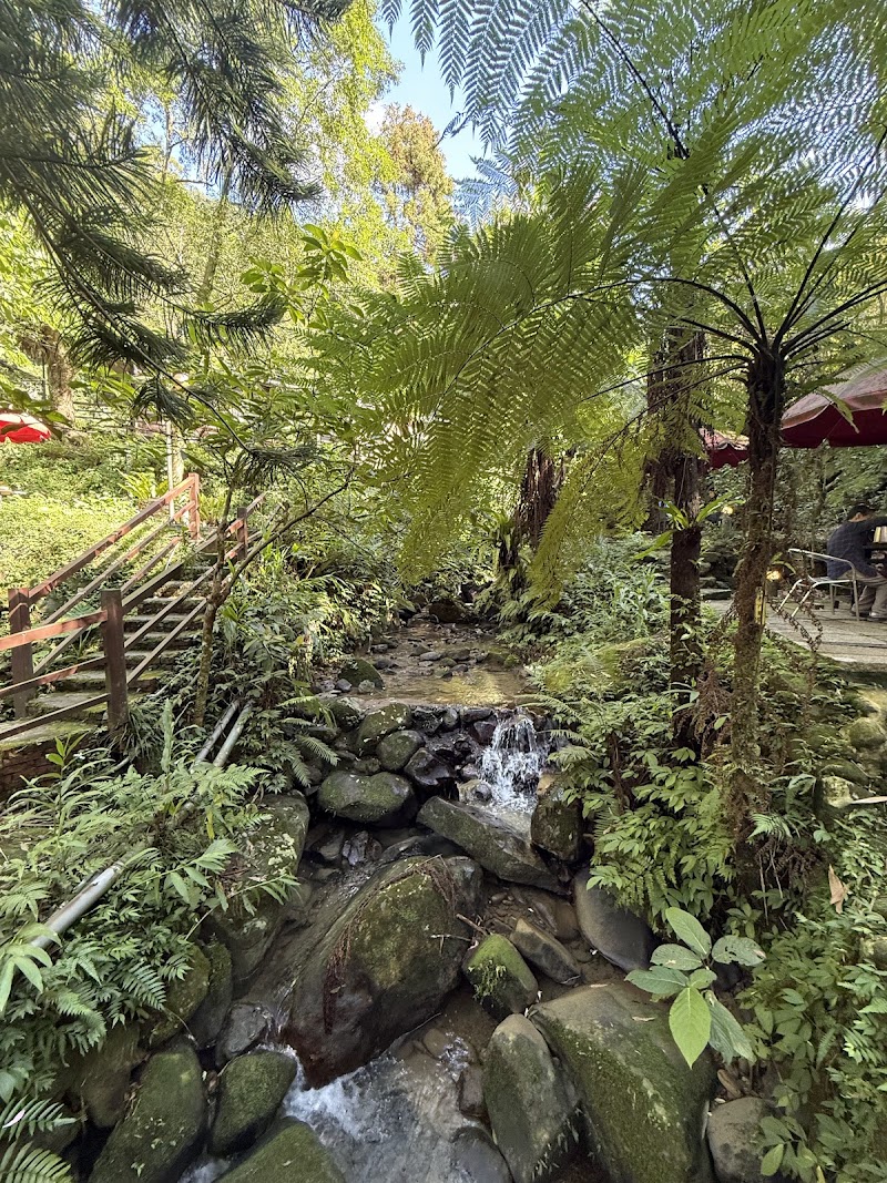 Longya Tea House - Longya Tea House, No. 24之2號, Lane 40, Section 3, Zhinan Rd, Zhinan Village, Wenshan District, Taipei City, Taiwan 116