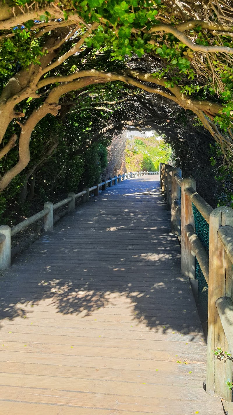 Middle Beach - Middle Beach, Boulders Beach, Kleintuin Rd, Simon's Town, Cape Town, 7995, South Africa