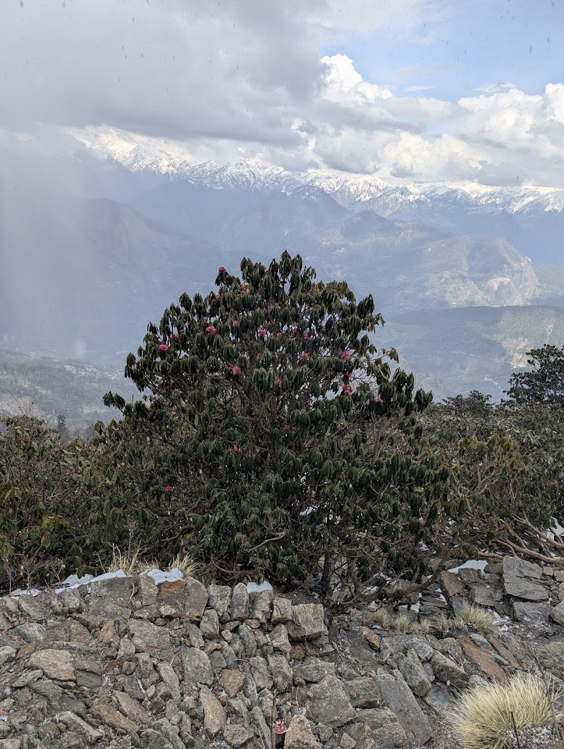Khaliya Top 4-km - Khaliya Top 4-km 3676+G8, Khaliya, Uttarakhand 262554, India