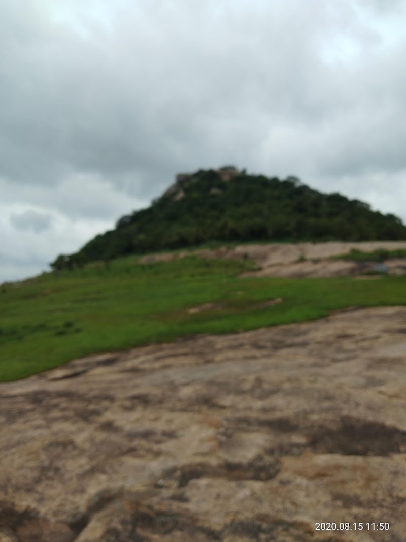 Chinaga Betta Trek - Chinaga Betta Trek, 95X8+CF4, Karnataka 572106, India