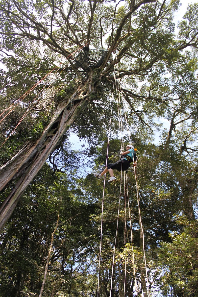 TreeTop Climbing Monteverde - TreeTop Climbing Monteverde, Puntarenas Province, Monteverde, 60109, Costa Rica