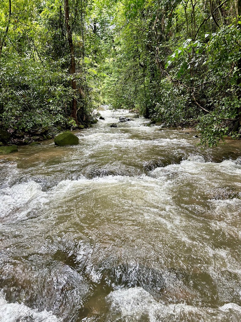 Tambdi Surla Waterfalls - Tambdi Surla Waterfalls Surla, Goa 403406, India