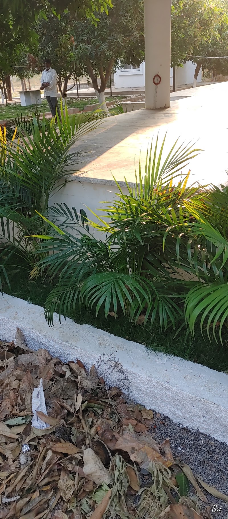 Jadcherla - Jadcherla, Telangana, India
