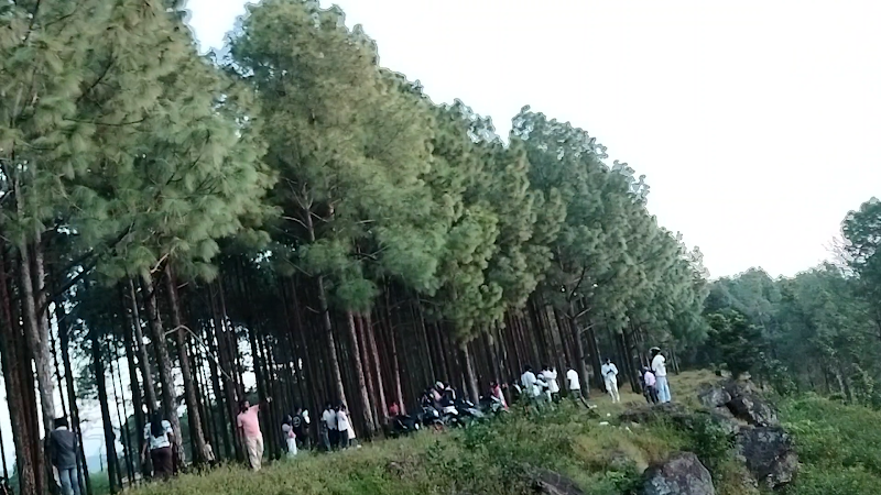 NETARHAT SUNRISE VIEW POINT - NETARHAT SUNRISE VIEW POINT F7PH+R4G, Netarhat, Jharkhand 835218, India