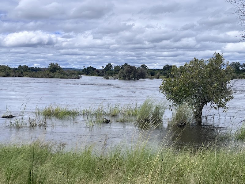 Zambezi River - Zambezi River