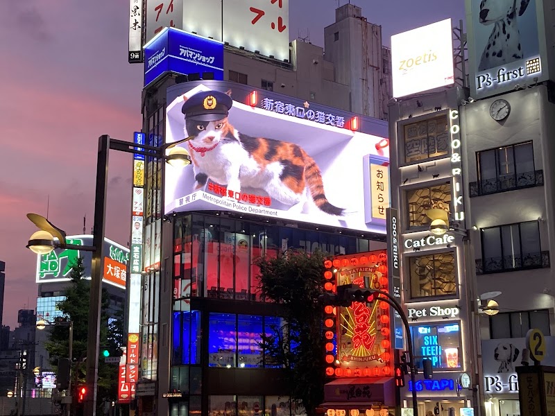 Miraion Lion Square - Miraion Lion Square 3 Chome-38 Shinjuku, Shinjuku City, Tokyo 160-0022, Japan