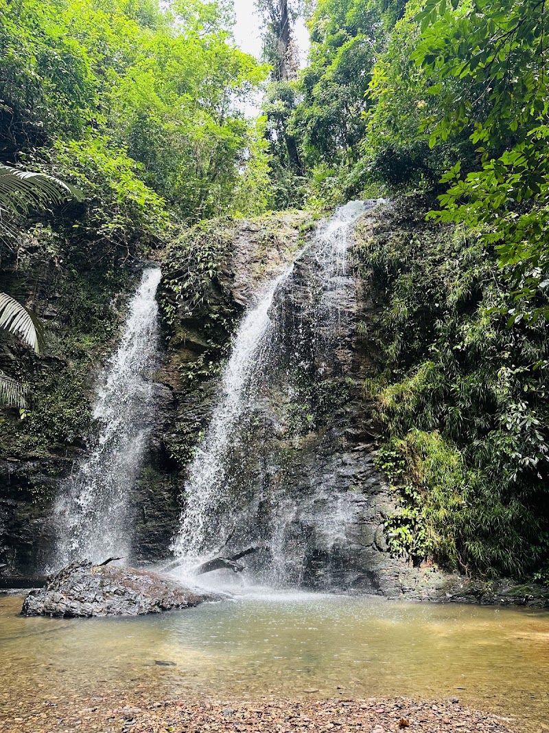 Following Giants Koh Lanta Ethical Elephant Sanctuary - Following Giants Koh Lanta Ethical Elephant Sanctuary, Klong Chak Waterfall RD, Tambon Ko Lanta Yai, Amphoe Ko Lanta, Chang Wat Krabi 81150, Thailand