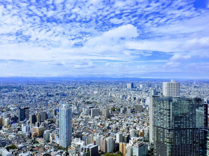 Tokyo Metropolitan Government Building | North Observation Deck - Tokyo Metropolitan Government Building | North Observation Deck Japan, 〒163-8001 Tokyo, Shinjuku City, Nishishinjuku, 2-chōme−8−１ Tochomae Station, 45F