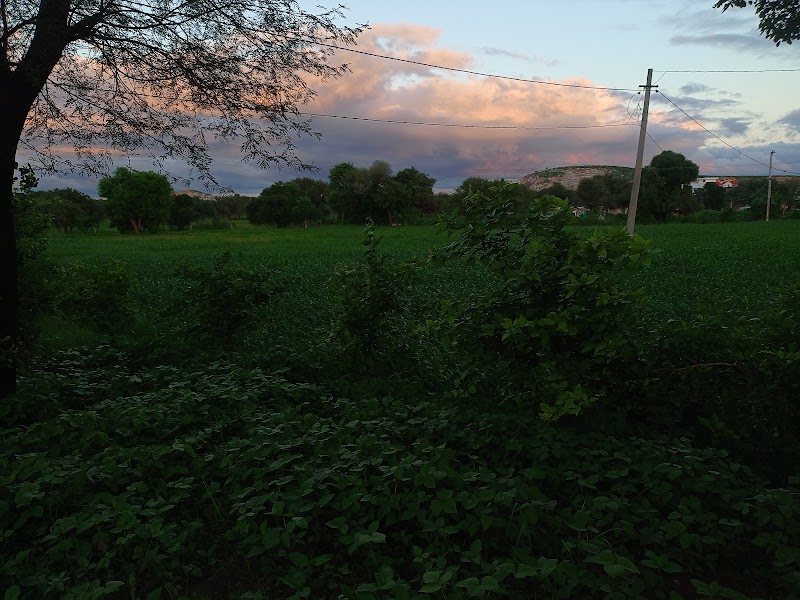 Dadar hills jaipur - Dadar hills jaipur 3MJ3+W9J, Jairampura, Rajasthan 303701, India