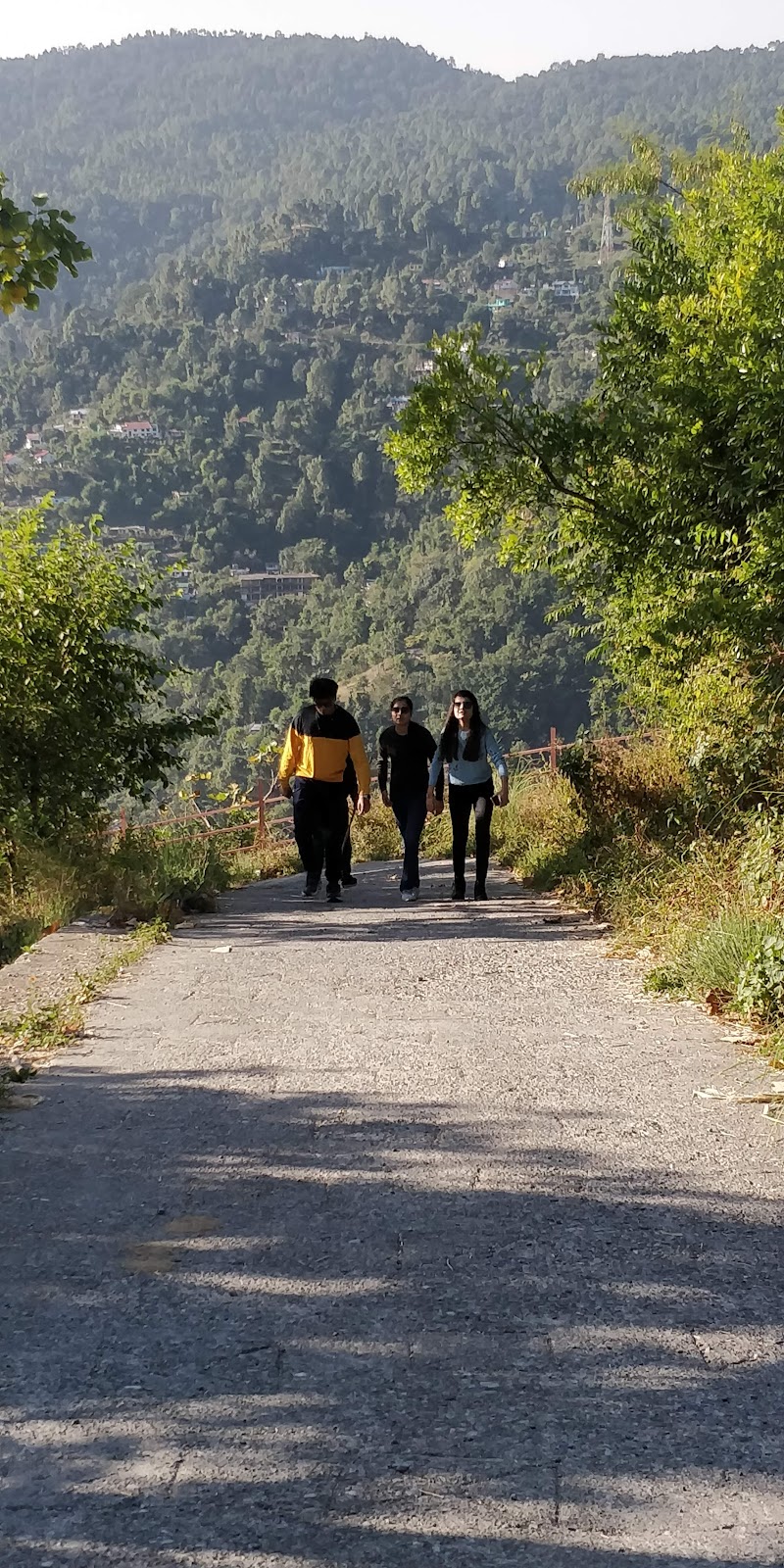 Cosy Homes Villa BnB Homestay - Cosy Homes Villa BnB Homestay, Talla, Gethiya, Naina Range, Uttarakhand 263127, India