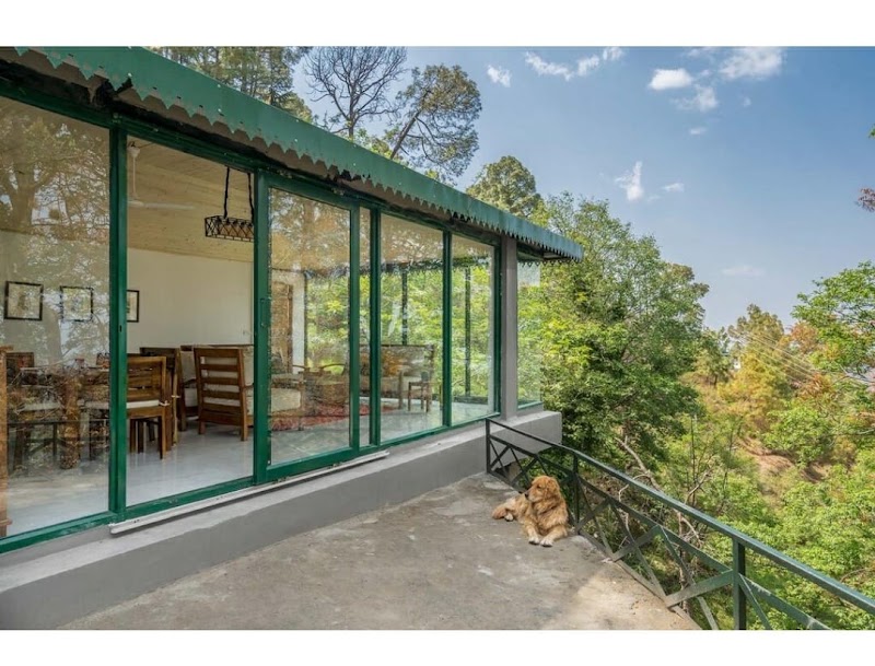Padam Hill - Padam Hill, Parwanoo Kasauli Rd, Kasauli, Himachal Pradesh 173201, India