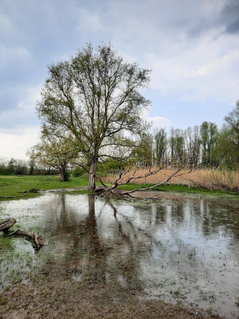 Lanaken - Lanaken, Belgium
