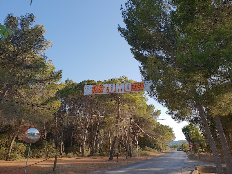 S'hort den Josepet - S'hort den Josepet, Hort den Josepet, Ctra Morna, camí des fil, 07850 Sant Carles de Peralta - IBIZA, Illes Balears, Spain