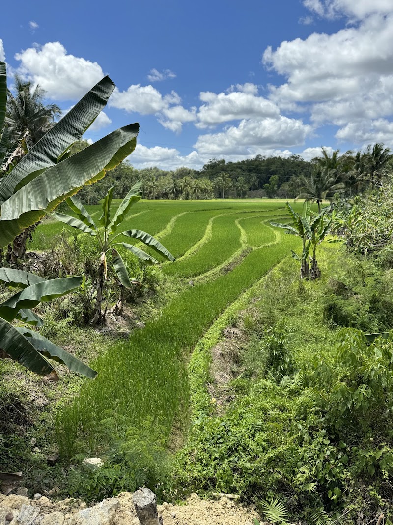 Ecotravelers Travel & Tours Philippines - Ecotravelers Travel & Tours Philippines, Cor Gallares, C. Putong St, Tagbilaran City, 6300 Bohol, Philippines
