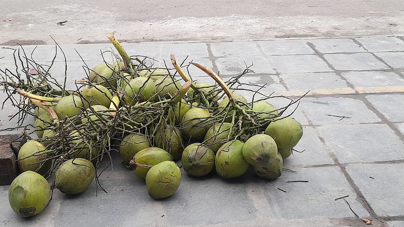 Chợ Mía, Ninh Khánh, Tp.Ninh Bình, Ninh Bình - Chợ Mía, Ninh Khánh, Tp.Ninh Bình, Ninh Bình, Nguyễn Bặc, Hoa Lư, Ninh Bình, Vietnam