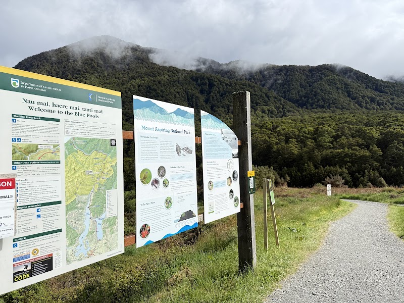 Blue Pools Track - Blue Pools Track, R7QP+QX, Makarora 9382, New Zealand
