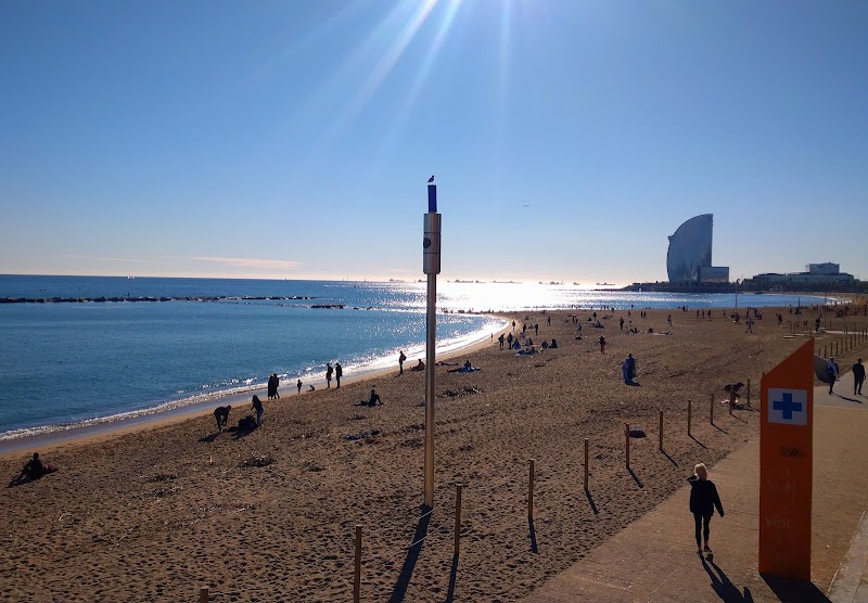 Passeig Marítim de la Barceloneta - Passeig Marítim de la Barceloneta, Pg. Marítim de la Barceloneta, Ciutat Vella, Barcelona, Spain