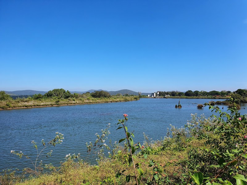 Moyar Dam - Moyar Dam JM2R+P8W, Moyar Dam Rd, Masinagudi, Tamil Nadu 643223, India