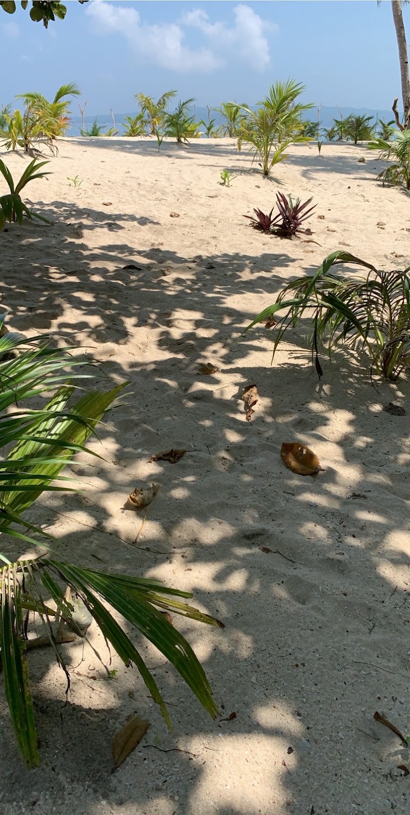 Crocodile Island - Crocodile Island, Philippines