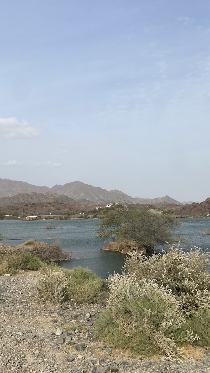 GoGravity - GoGravity, wadi hub - Hatta - Sufayri - Dubai - United Arab Emirates