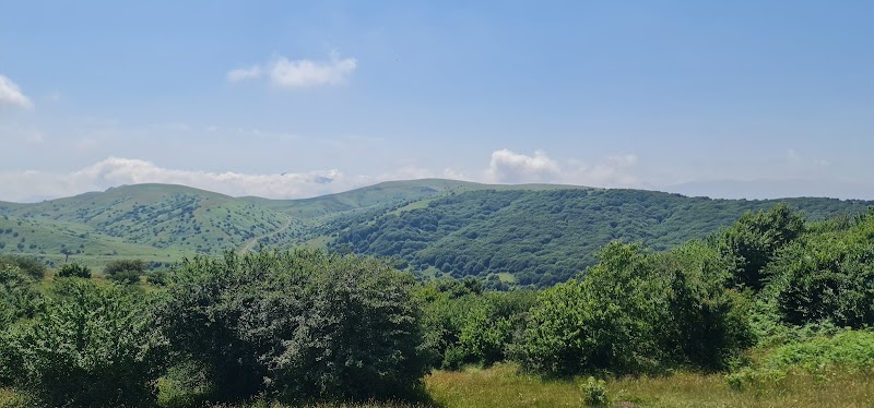 فندقلو نمین - فندقلو نمین, جنگل فندقلو, 9HM3+2FX, Ardabil Province, Iran
