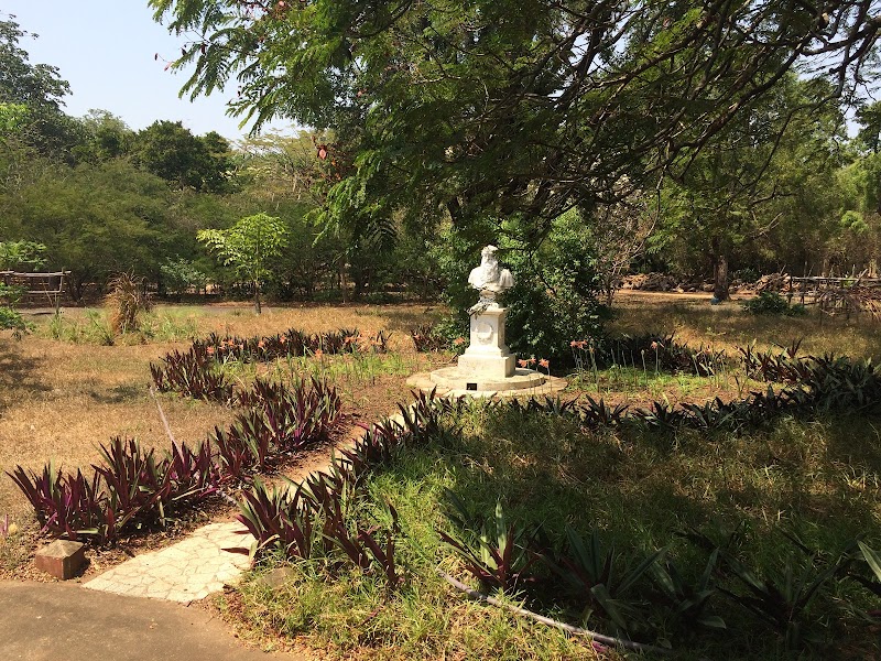 The Adyar Library and Research Centre - The Adyar Library and Research Centre, 2758+7R3, Theosophical Society, Adyar, Chennai, Tamil Nadu 600020, India