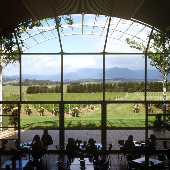 Winery Tour Yarra Valley - Winery Tour Yarra Valley, Unit 201/98 River Esplanade, Docklands VIC 3008, Australia
