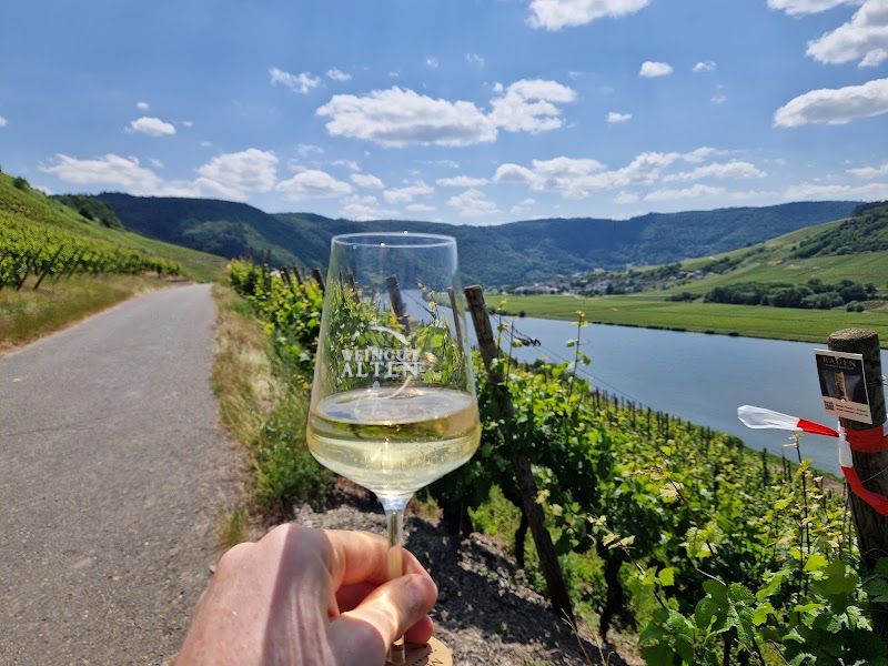 Weingut Alten - Weingut Alten, Thörnicher Str. 9, 54340 Detzem, Germany
