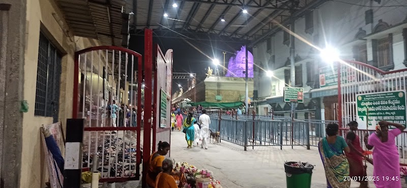 Padmavati - Padmavati JC5X+P88, Tiruchanur, Andhra Pradesh 517503, India